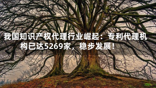 我国知识产权代理行业崛起：专利代理机构已达5269家，稳步发展！