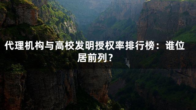 代理机构与高校发明授权率排行榜：谁位居前列？