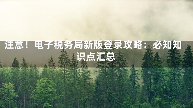 注意！电子税务局新版登录攻略：必知知识点汇总