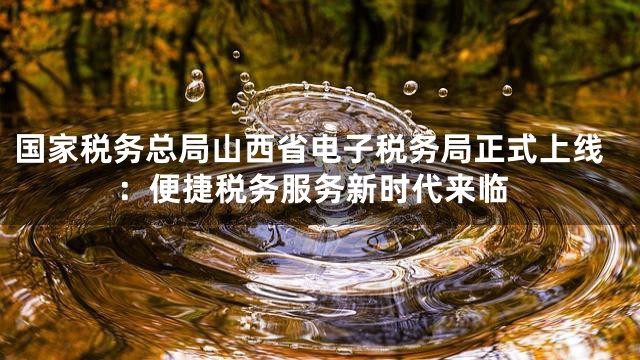国家税务总局山西省电子税务局正式上线：便捷税务服务新时代来临