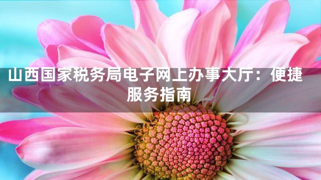山西国家税务局电子网上办事大厅：便捷服务指南