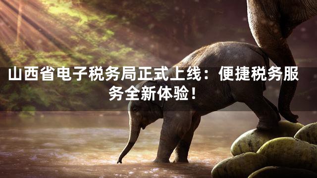 山西省电子税务局正式上线：便捷税务服务全新体验！
