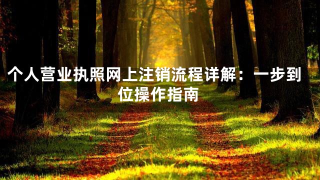 个人营业执照网上注销流程详解：一步到位操作指南