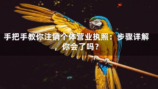 手把手教你注销个体营业执照：步骤详解，你会了吗？