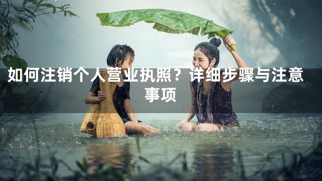如何注销个人营业执照？详细步骤与注意事项