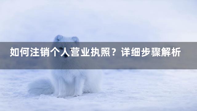如何注销个人营业执照？详细步骤解析