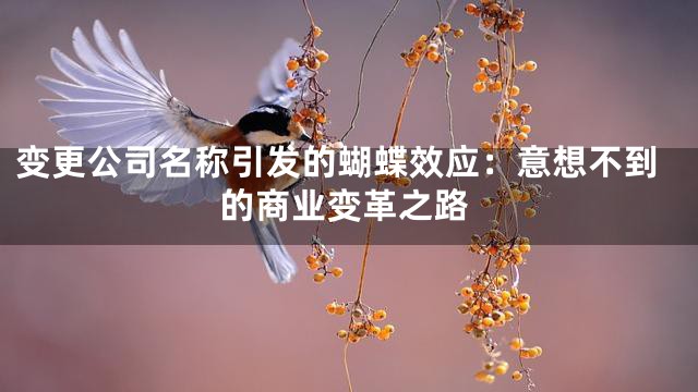 变更公司名称引发的蝴蝶效应：意想不到的商业变革之路