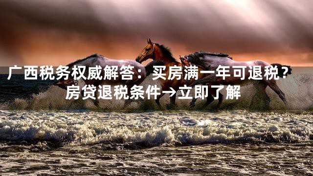 广西税务权威解答：买房满一年可退税？房贷退税条件→立即了解