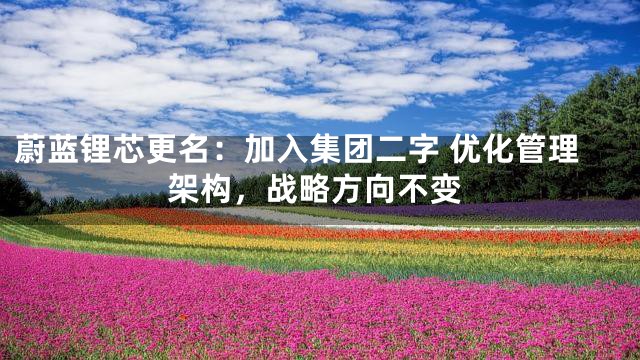 蔚蓝锂芯更名：加入集团二字 优化管理架构，战略方向不变