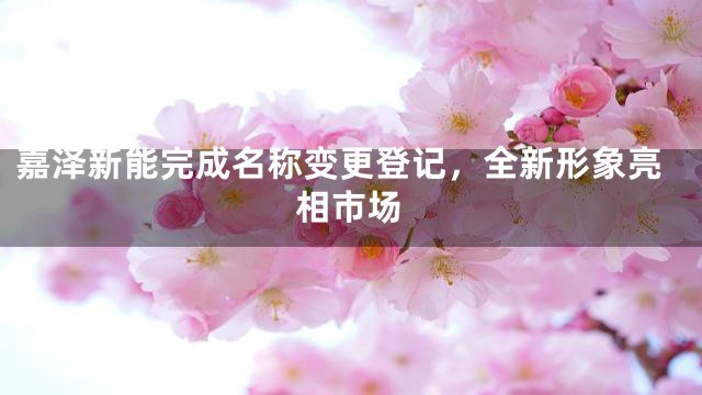 嘉泽新能完成名称变更登记，全新形象亮相市场