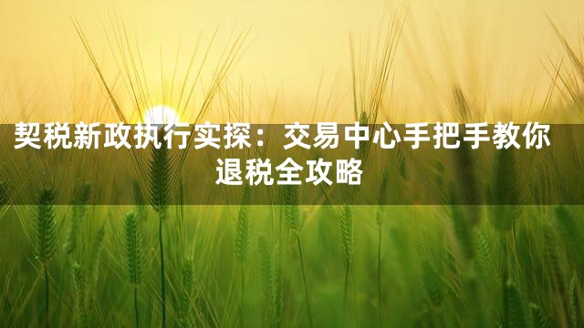 契税新政执行实探：交易中心手把手教你退税全攻略