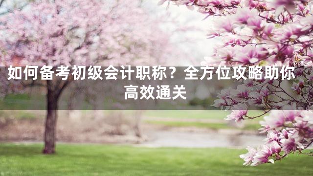 如何备考初级会计职称？全方位攻略助你高效通关