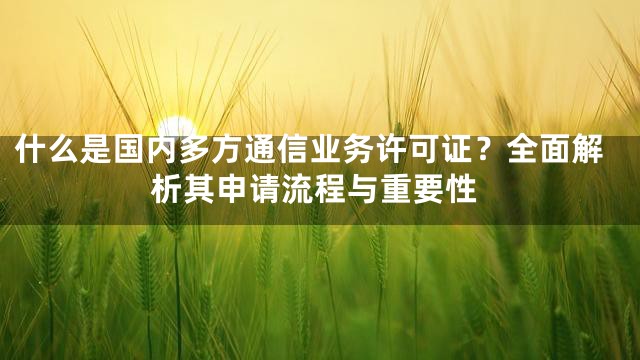 什么是国内多方通信业务许可证？全面解析其申请流程与重要性
