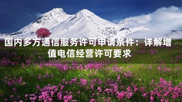 国内多方通信服务许可申请条件：详解增值电信经营许可要求