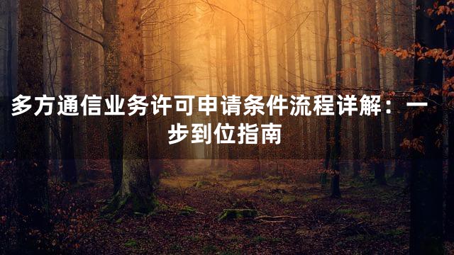 多方通信业务许可申请条件流程详解：一步到位指南