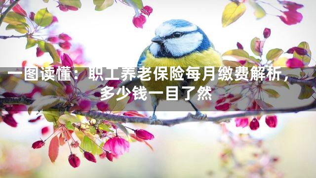 一图读懂：职工养老保险每月缴费解析，多少钱一目了然