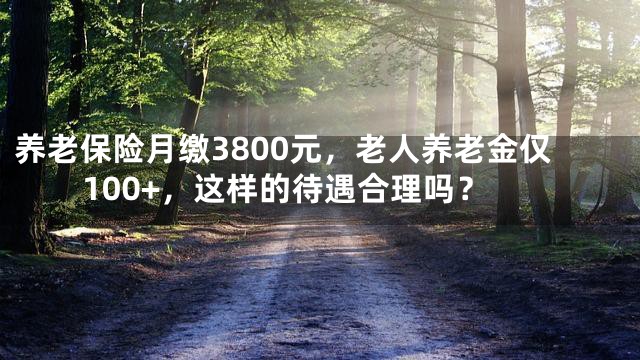 养老保险月缴3800元，老人养老金仅100+，这样的待遇合理吗？
