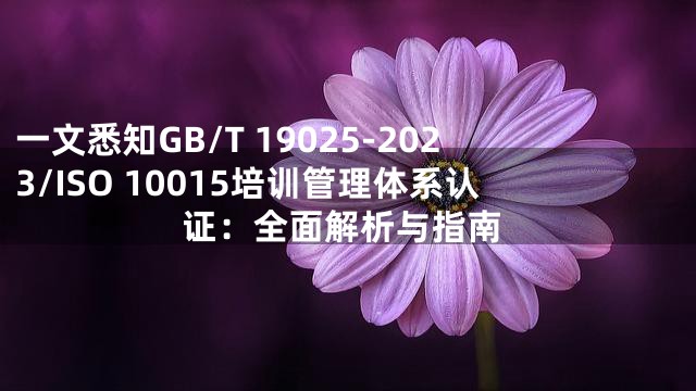 一文悉知GB/T 19025-2023/ISO 10015培训管理体系认证：全面解析与指南
