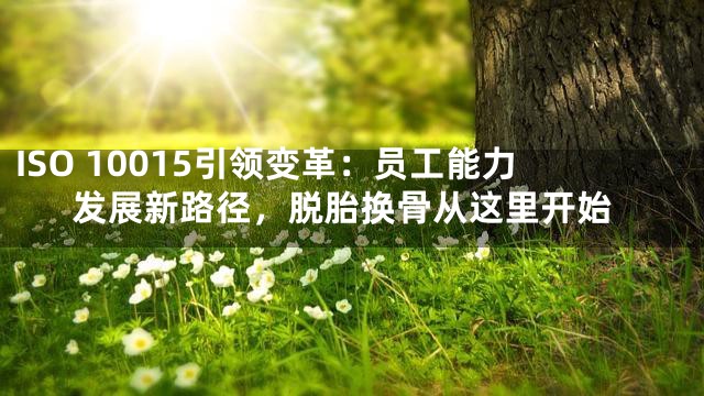 ISO 10015引领变革：员工能力发展新路径，脱胎换骨从这里开始