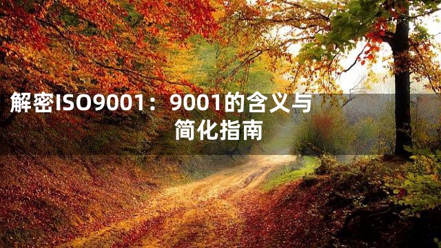 解密ISO9001：9001的含义与简化指南