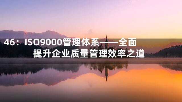 46：ISO9000管理体系——全面提升企业质量管理效率之道