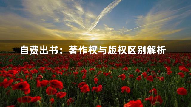 自费出书：著作权与版权区别解析