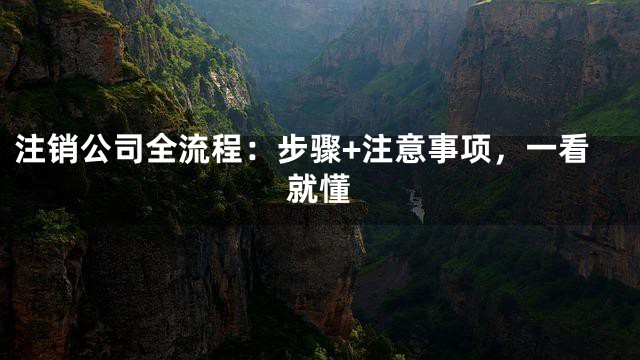 注销公司全流程：步骤+注意事项，一看就懂