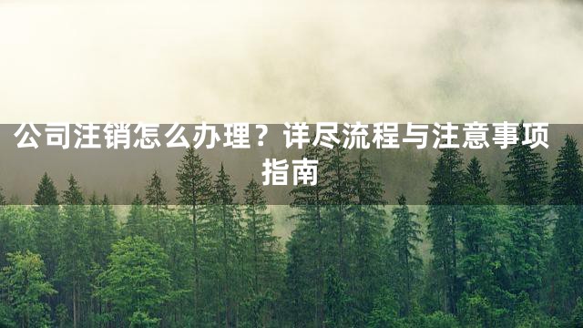 公司注销怎么办理？详尽流程与注意事项指南