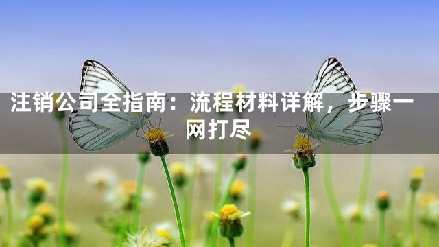 注销公司全指南：流程材料详解，步骤一网打尽