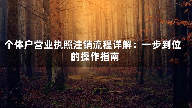 个体户营业执照注销流程详解：一步到位的操作指南