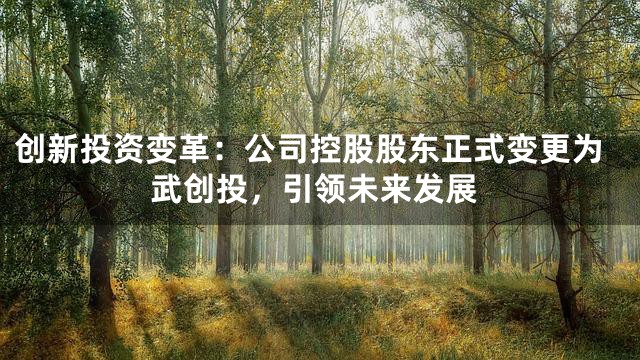 创新投资变革：公司控股股东正式变更为武创投，引领未来发展