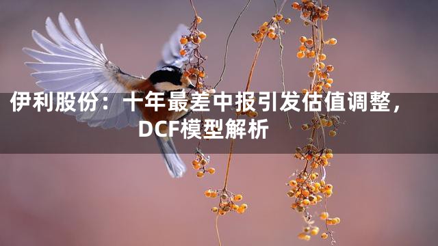 伊利股份：十年最差中报引发估值调整，DCF模型解析