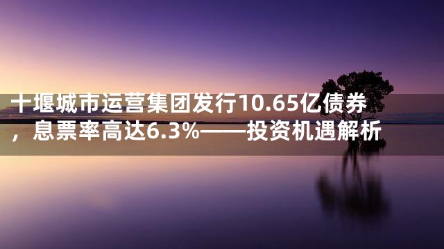 十堰城市运营集团发行10.65亿债券，息票率高达6.3%——投资机遇解析