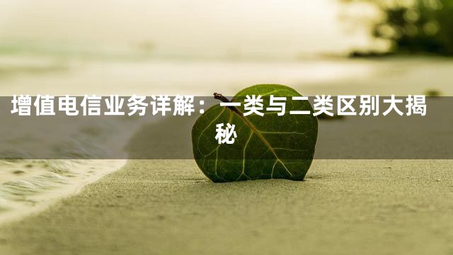 增值电信业务详解：一类与二类区别大揭秘