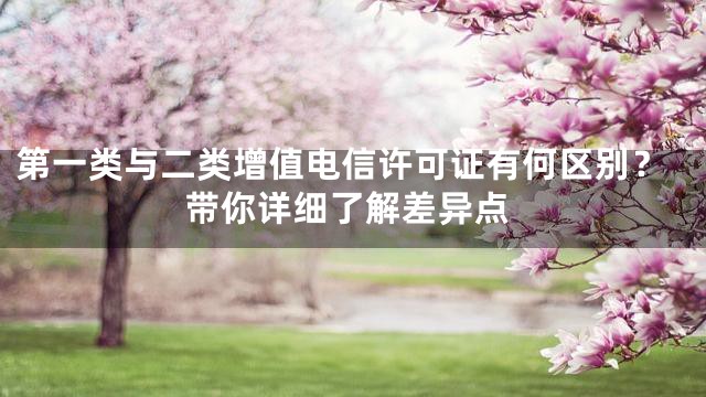 第一类与二类增值电信许可证有何区别？带你详细了解差异点