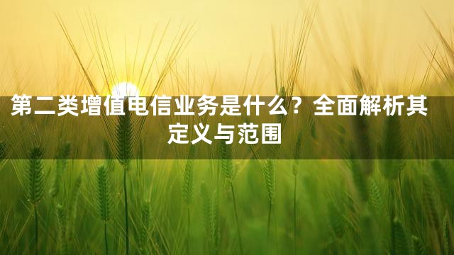 第二类增值电信业务是什么？全面解析其定义与范围