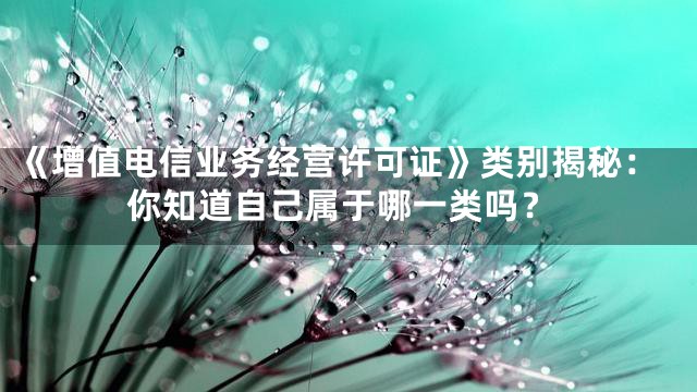 《增值电信业务经营许可证》类别揭秘：你知道自己属于哪一类吗？