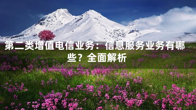 第二类增值电信业务：信息服务业务有哪些？全面解析