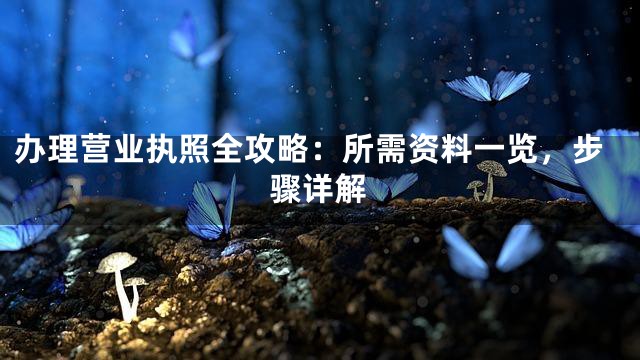 办理营业执照全攻略：所需资料一览，步骤详解