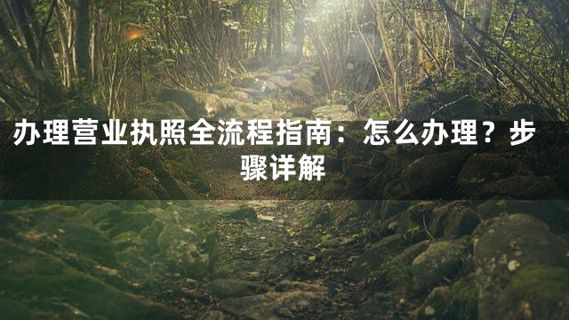 办理营业执照全流程指南：怎么办理？步骤详解