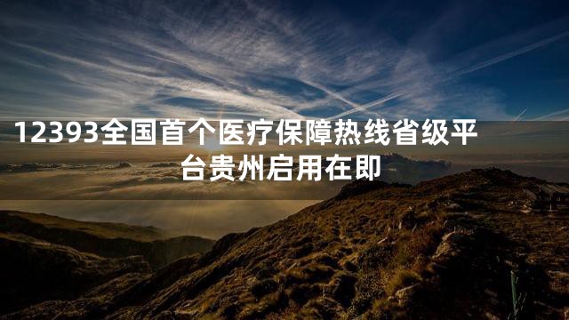 12393全国首个医疗保障热线省级平台贵州启用在即