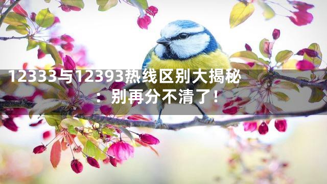 12333与12393热线区别大揭秘：别再分不清了！