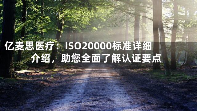 亿麦思医疗：ISO20000标准详细介绍，助您全面了解认证要点