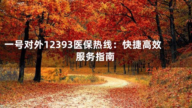 一号对外12393医保热线：快捷高效服务指南