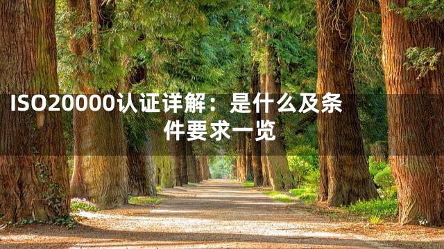 ISO20000认证详解：是什么及条件要求一览