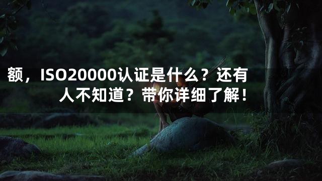 额，ISO20000认证是什么？还有人不知道？带你详细了解！