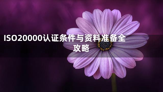 ISO20000认证条件与资料准备全攻略