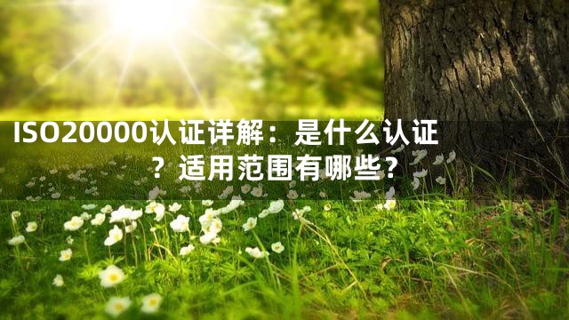 ISO20000认证详解：是什么认证？适用范围有哪些？