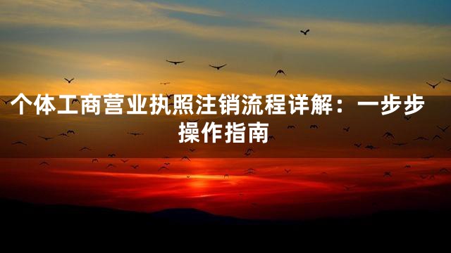 个体工商营业执照注销流程详解：一步步操作指南