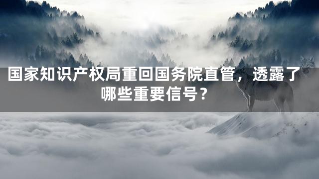 国家知识产权局重回国务院直管，透露了哪些重要信号？
